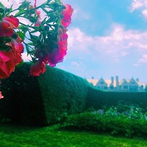 Meet your Posher, Kayleigh